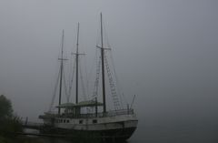 Nebel - Mainz-Kastel - Wiesbaden ....