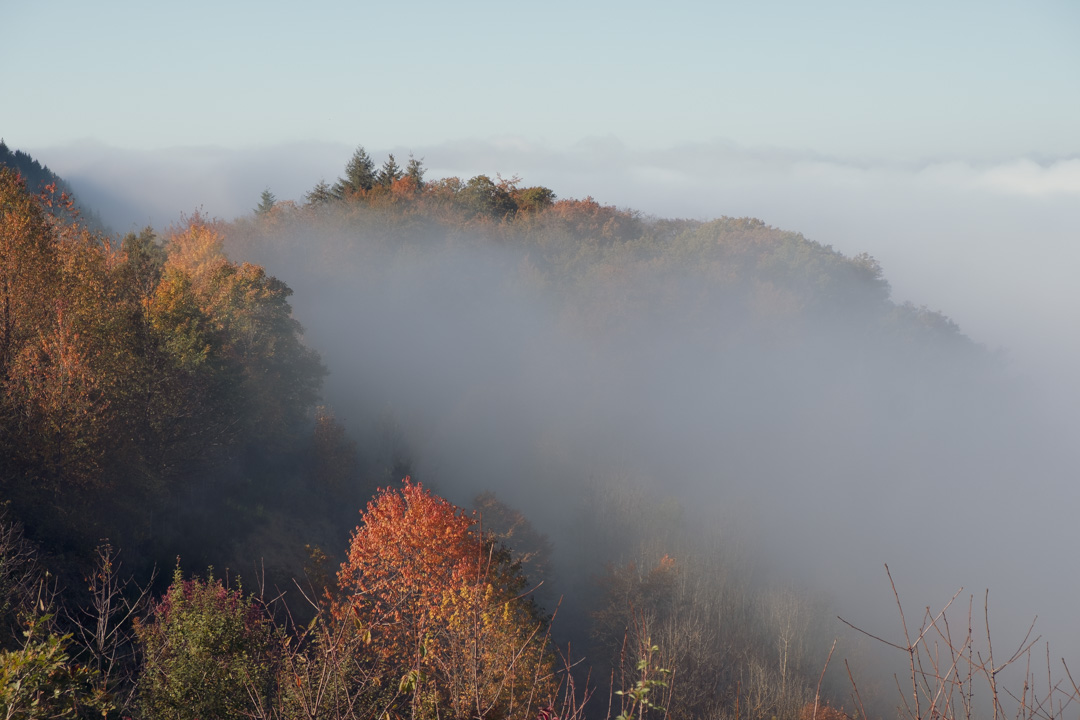 Nebel Mehring Parkplatzsicht