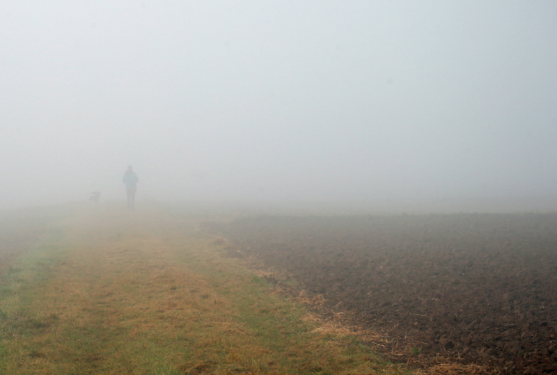 Nebel + Mensch + Hund