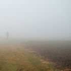 Nebel + Mensch + Hund