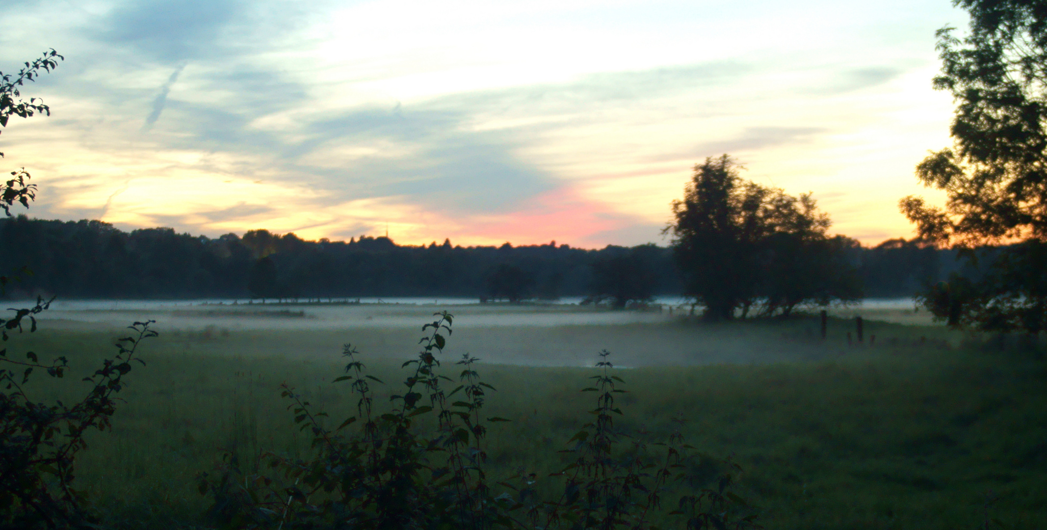 Nebel mit Abendrot