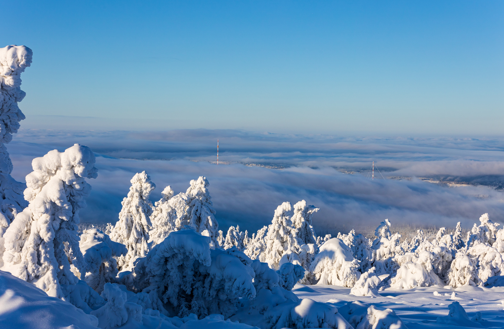 Nebel mit Blick zum Torfhaus