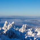 Nebel mit Blick zum Torfhaus