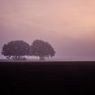 Nebel mit einem Helios 44-2 58mm f/2.0 (M42)