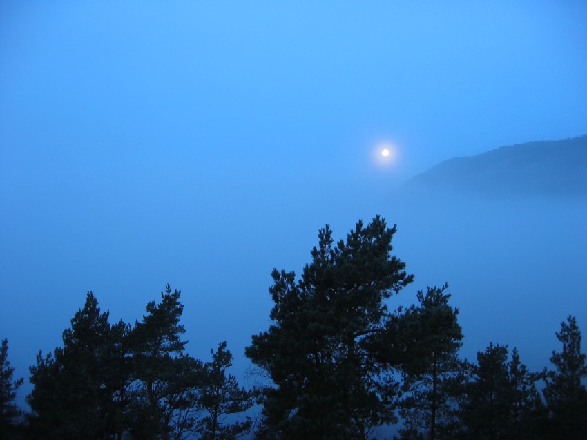 Nebel mit Mond am Lysefjord. (Norwegen)