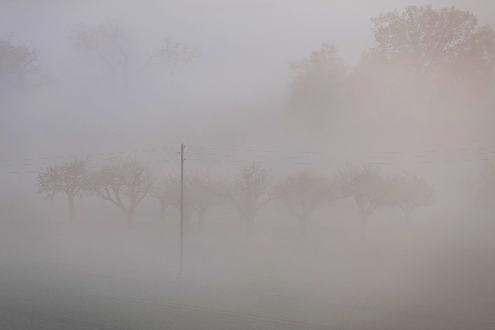 Nebel mit Morgensonne...