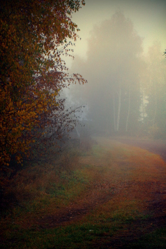 nebel mit sichtweiten teilweise unter 50 metern