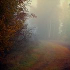 nebel mit sichtweiten teilweise unter 50 metern