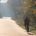 NEBEL MIT SONNE AM KANAL