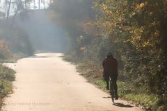 NEBEL MIT SONNE AM KANAL