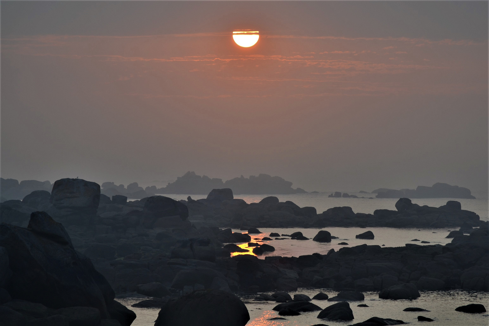 Nebel mit Sonne/ Brouillard avec soleil