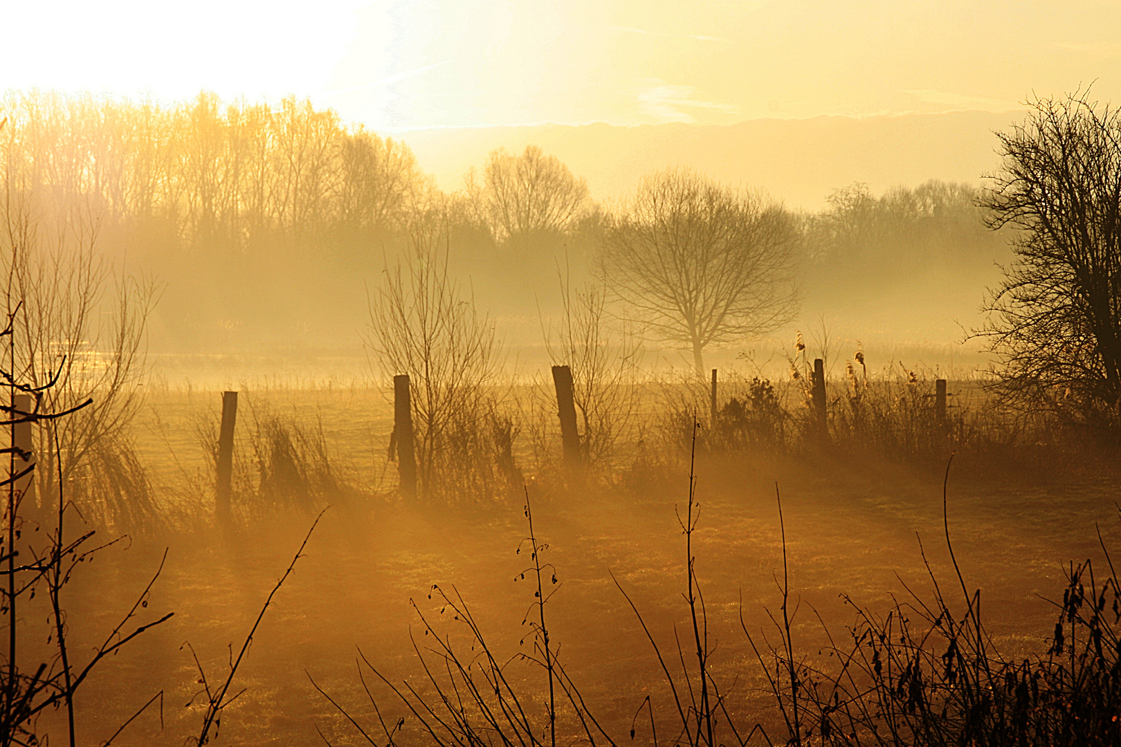 Nebel mit Sonne