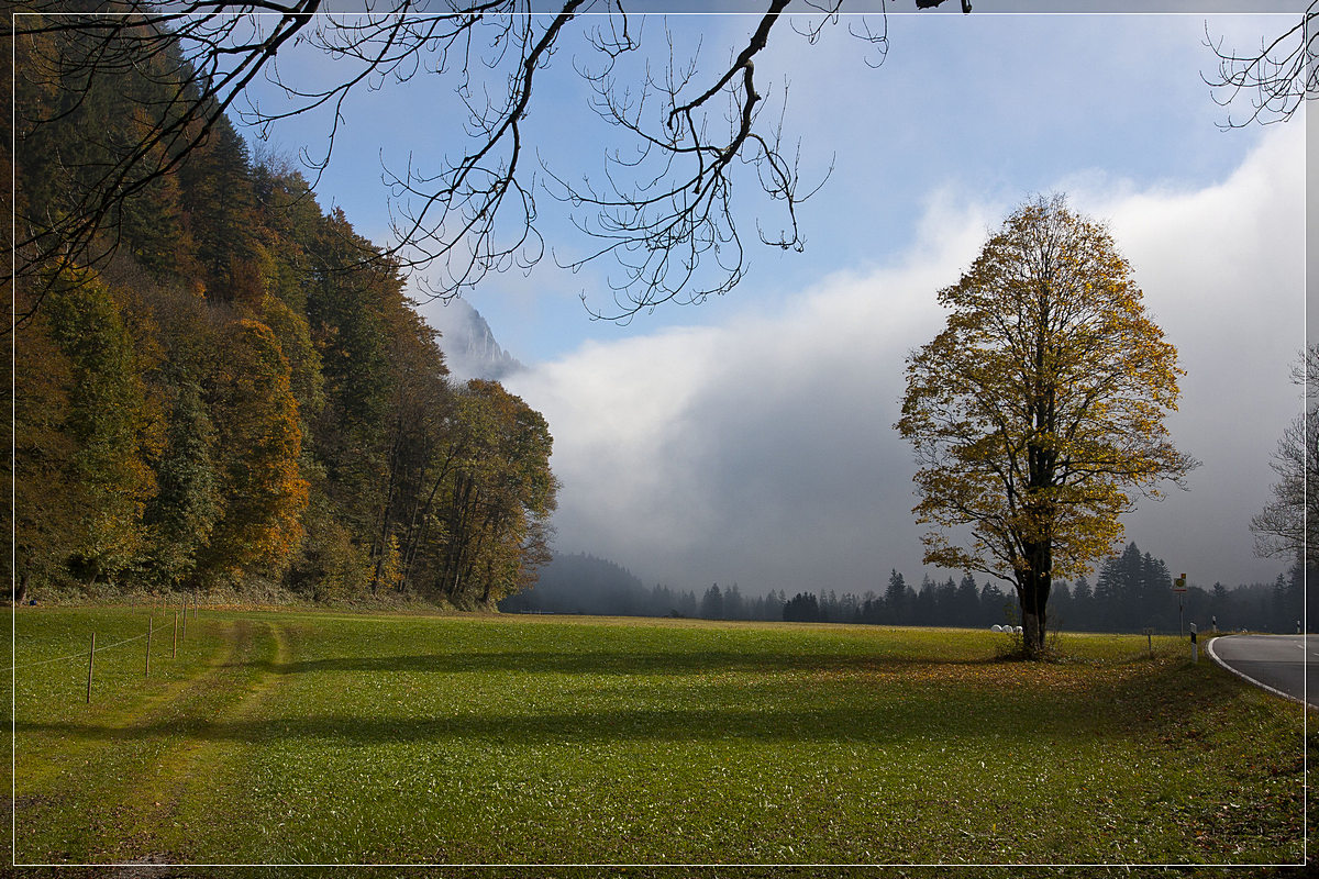 Nebel mit Sonnenschein