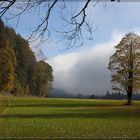 Nebel mit Sonnenschein