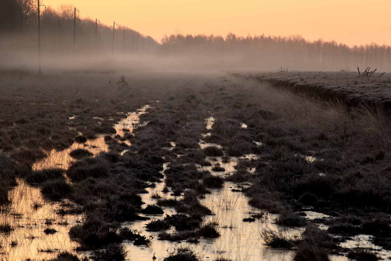 Nebel - mit Tele "verdichtet" 