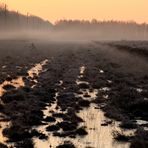 Nebel - mit Tele "verdichtet" 