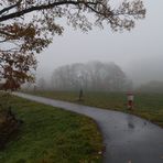 Nebel, mit und ohne Kontrast