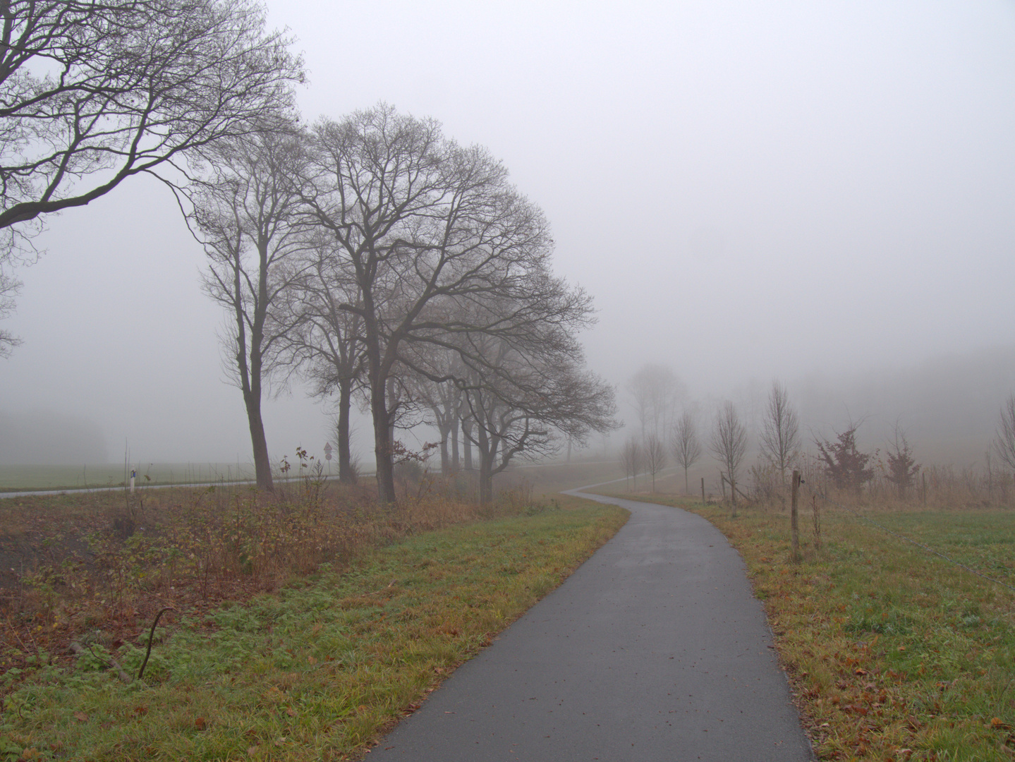 Nebel, mit und ohne Kontrast