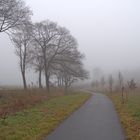 Nebel, mit und ohne Kontrast