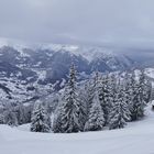 ...Nebel Momente am Hochjoch...