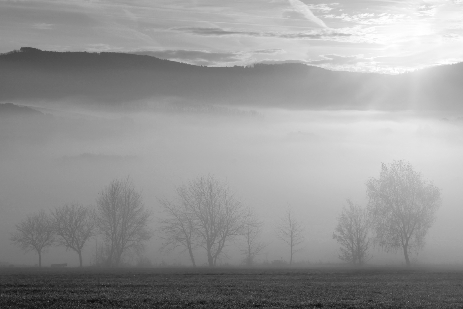 Nebel-Morgen...