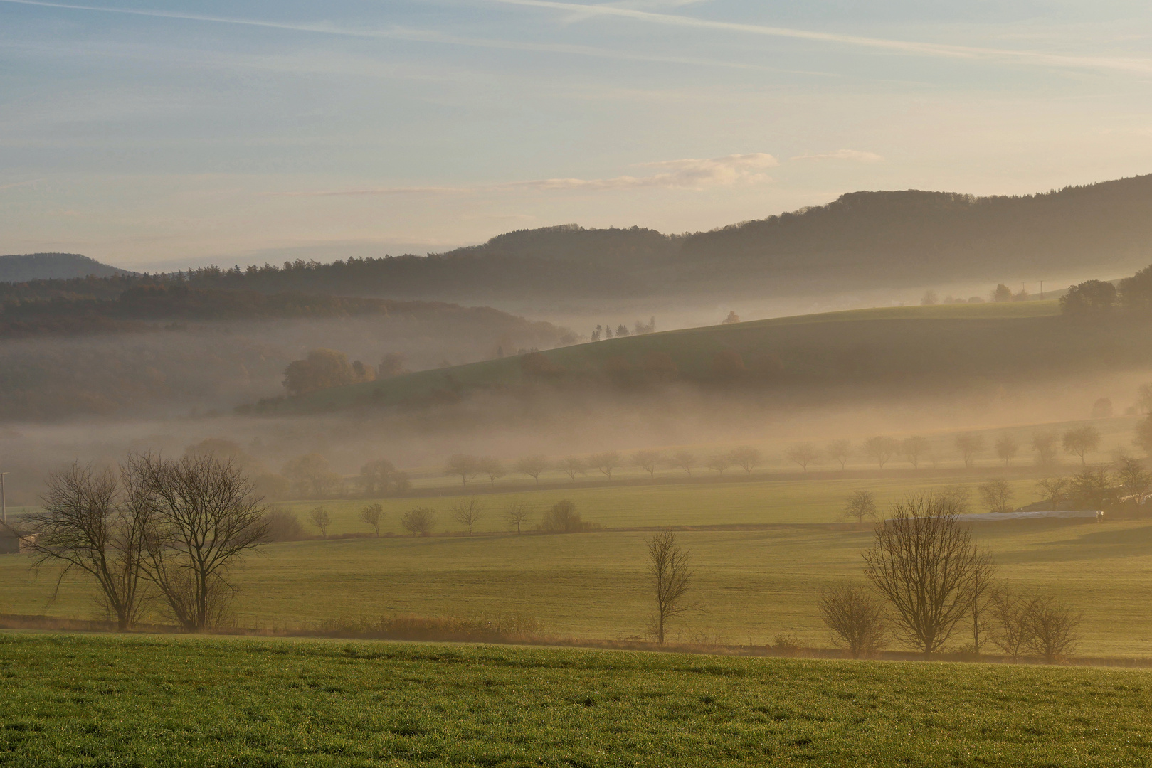 Nebel-Morgen...