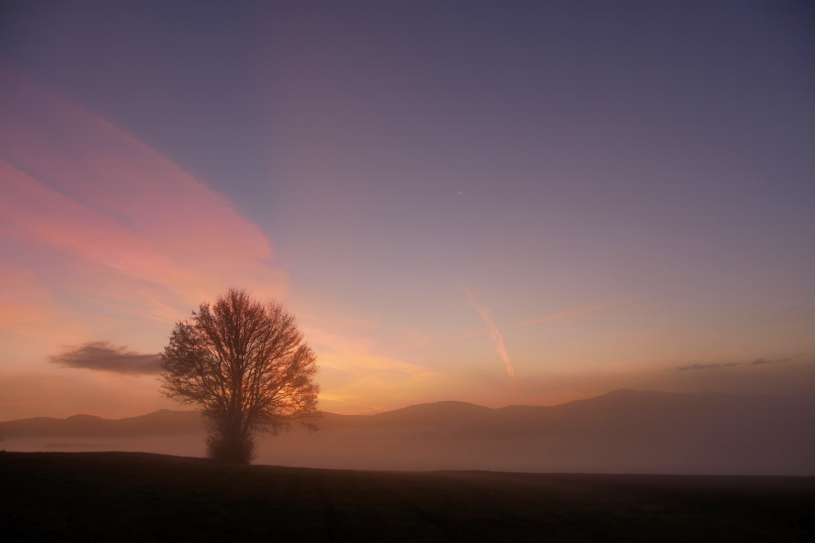 Nebel-Morgen...