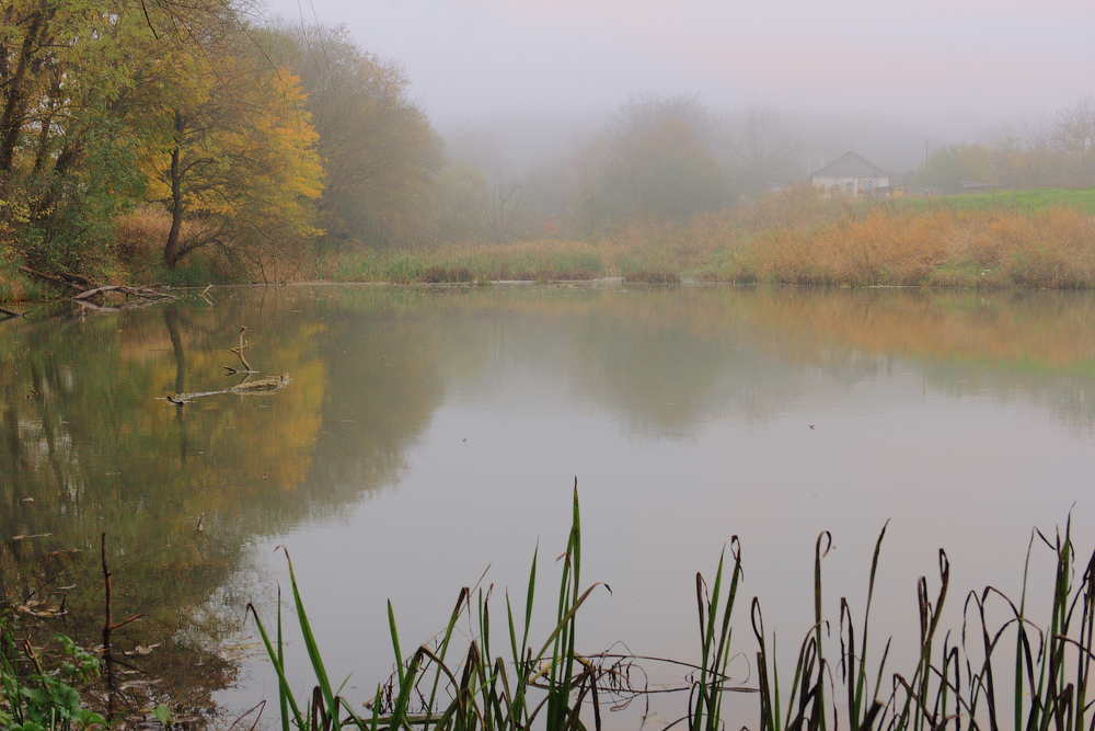 Nebel Morgen