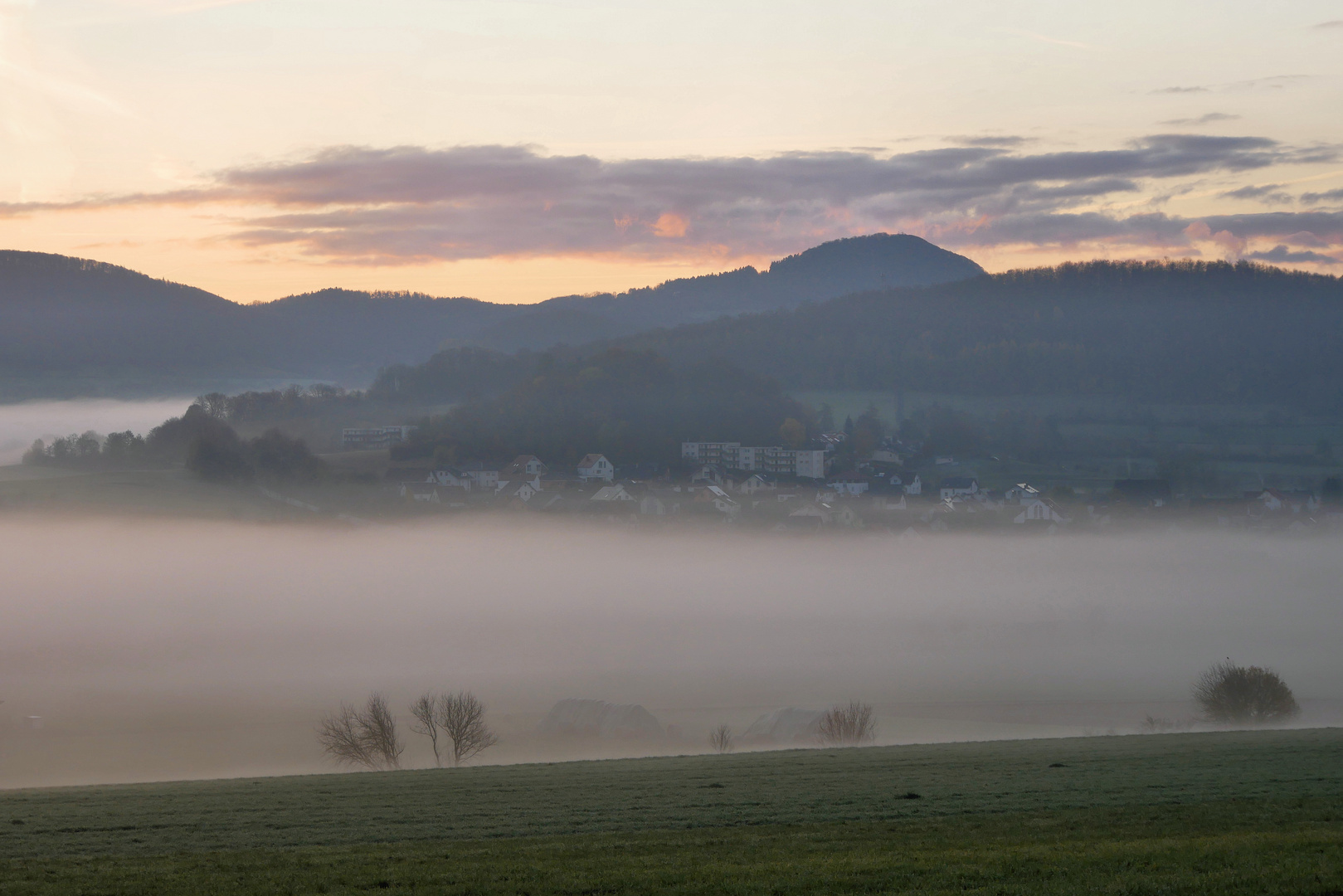 Nebel-Morgen...