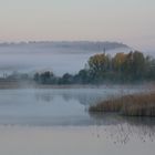 Nebel Morgen 