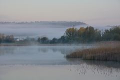 Nebel Morgen 