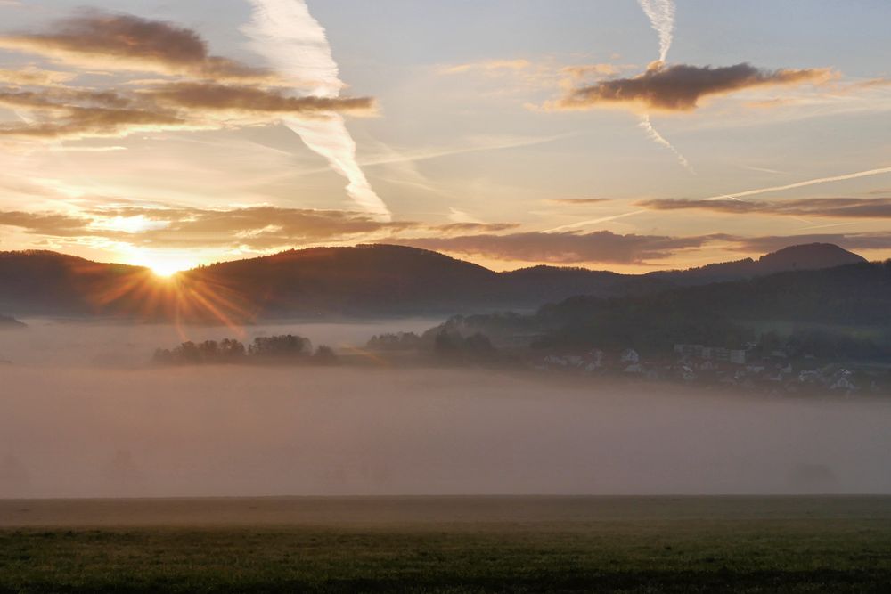 Nebel-Morgen...