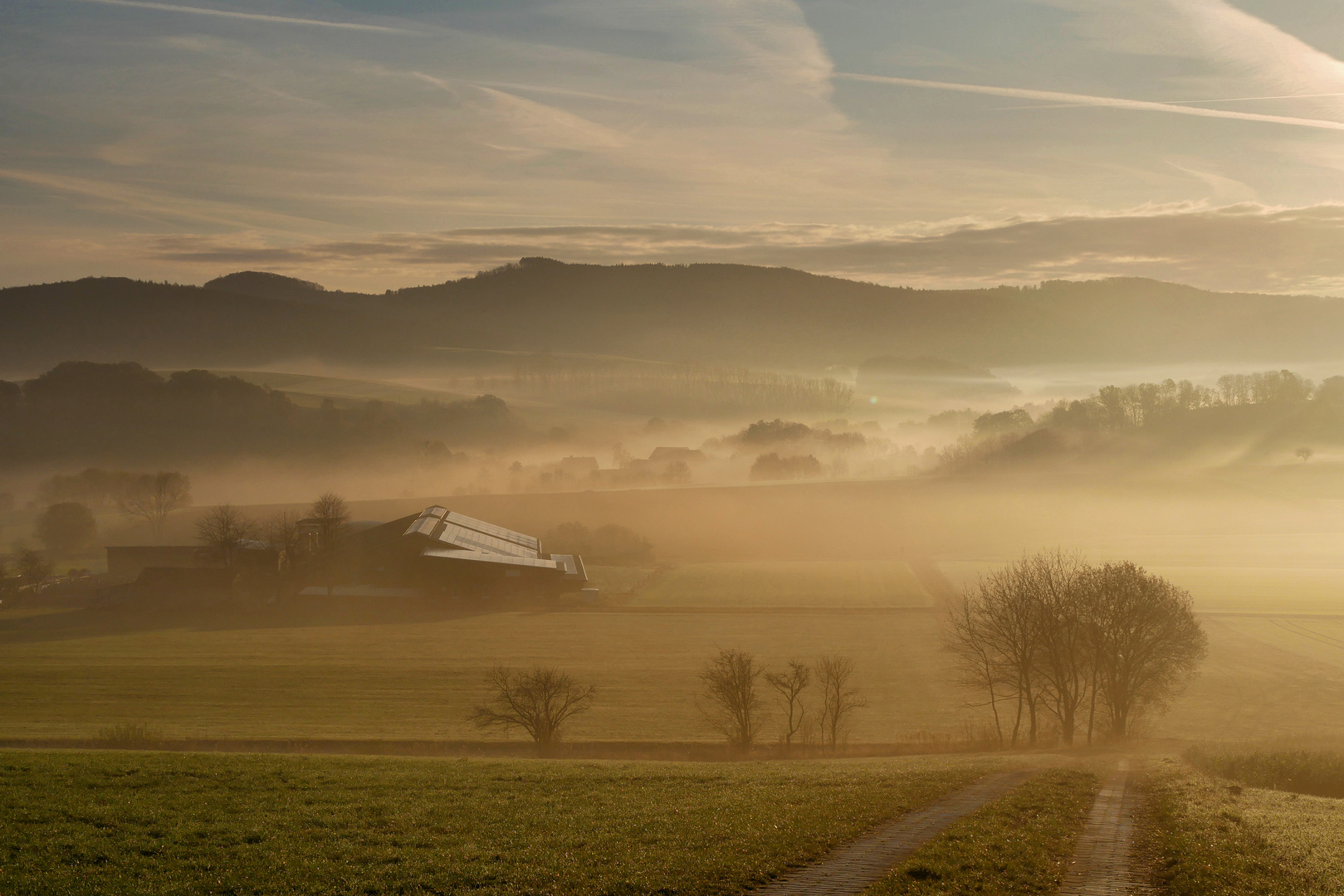 Nebel-Morgen...