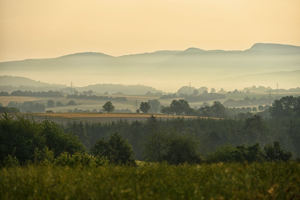 Nebel-Morgen...