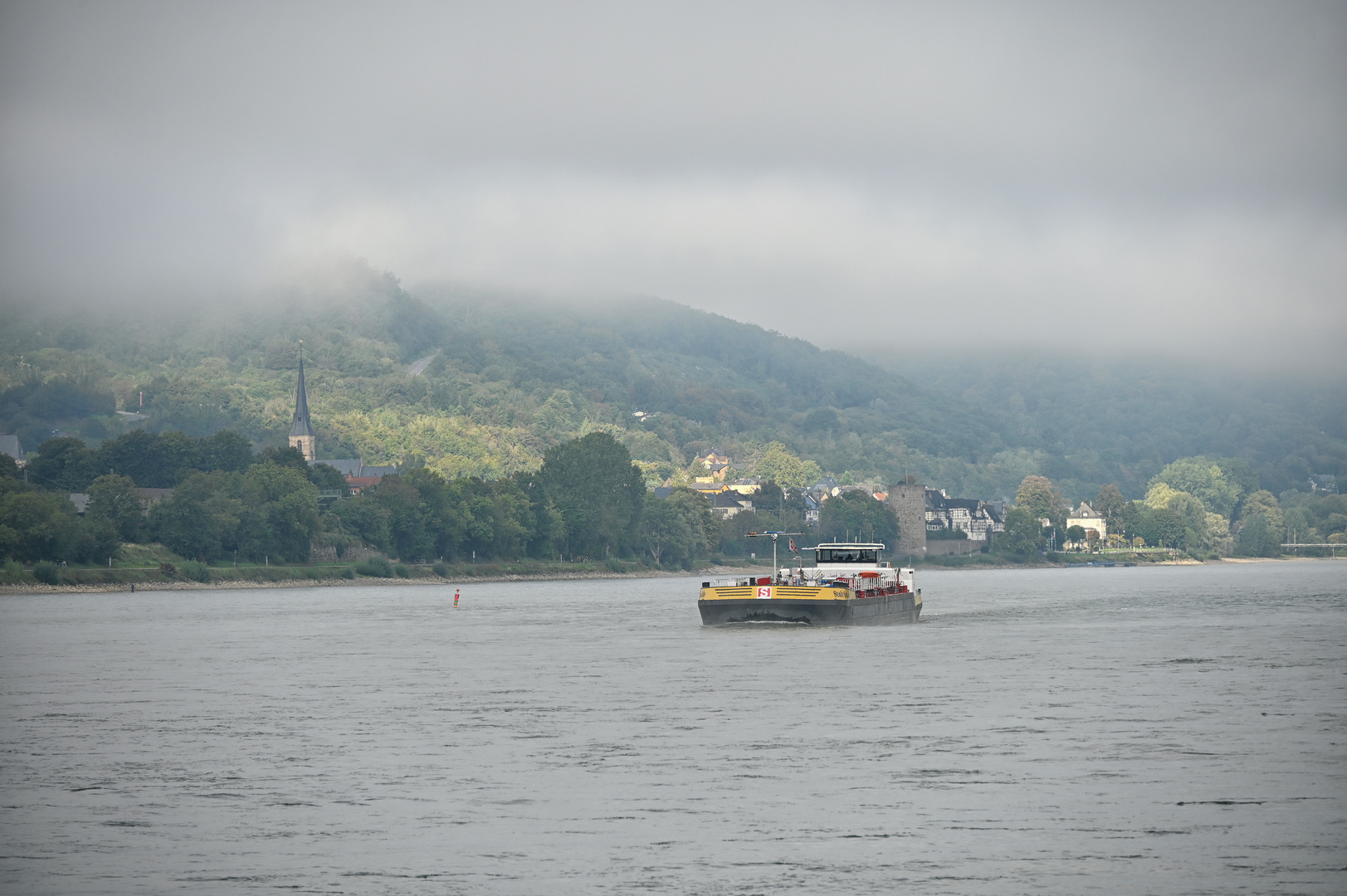 Nebel-Morgen am Rhein