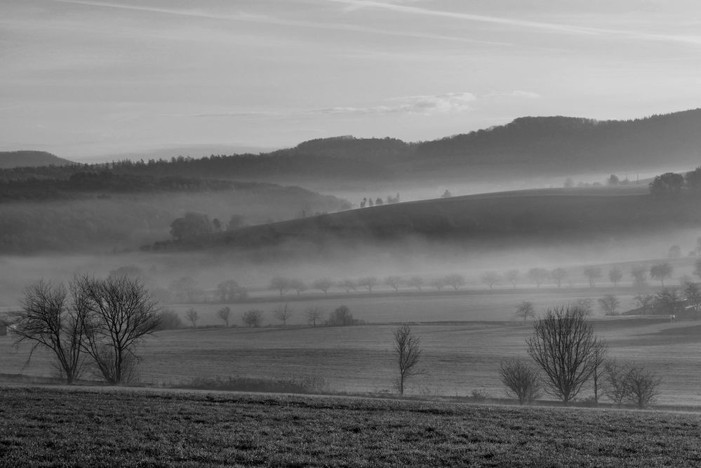 Nebel-Morgen...