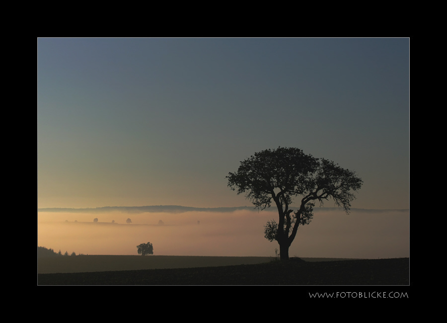 Nebel Morgen