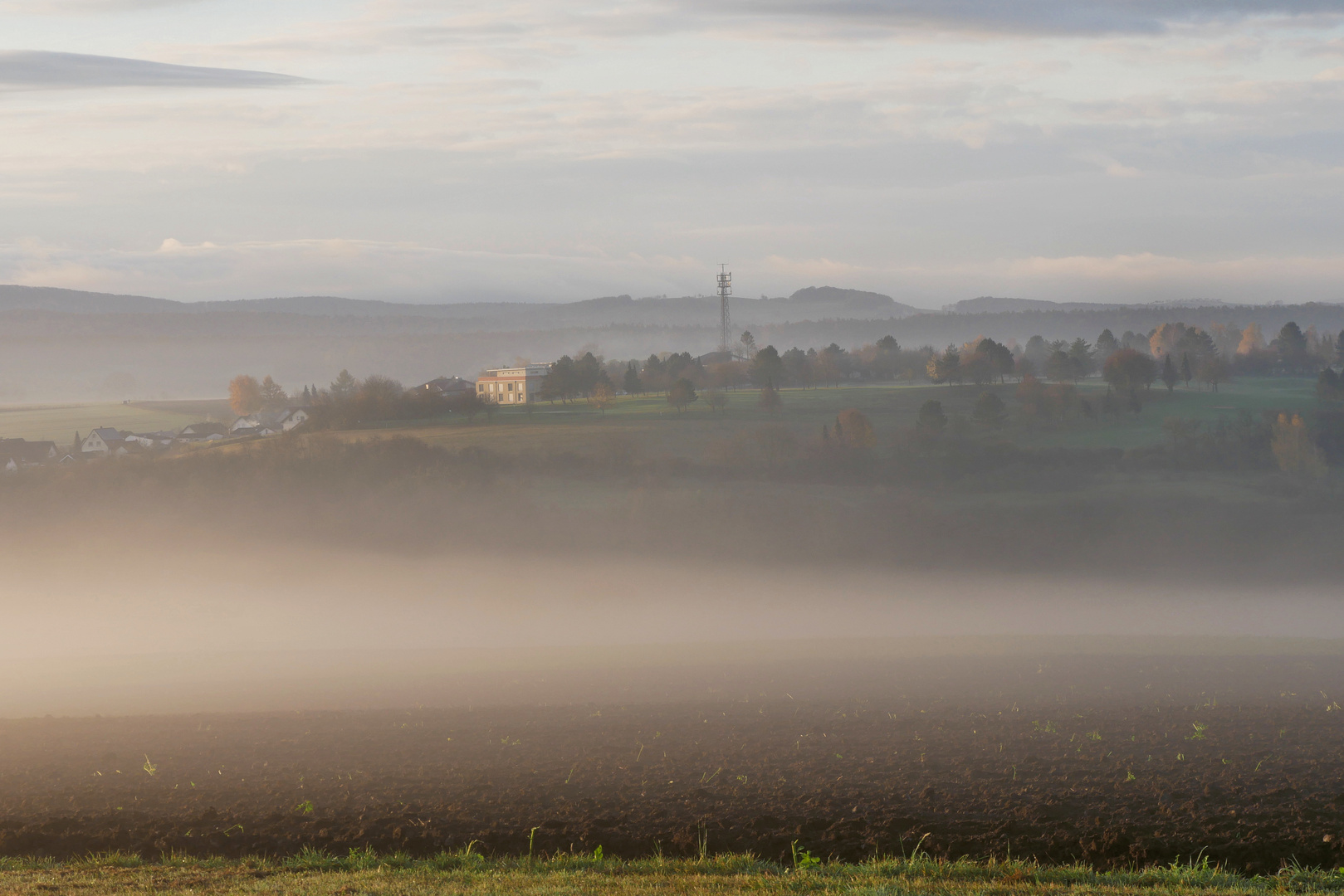 Nebel-Morgen...