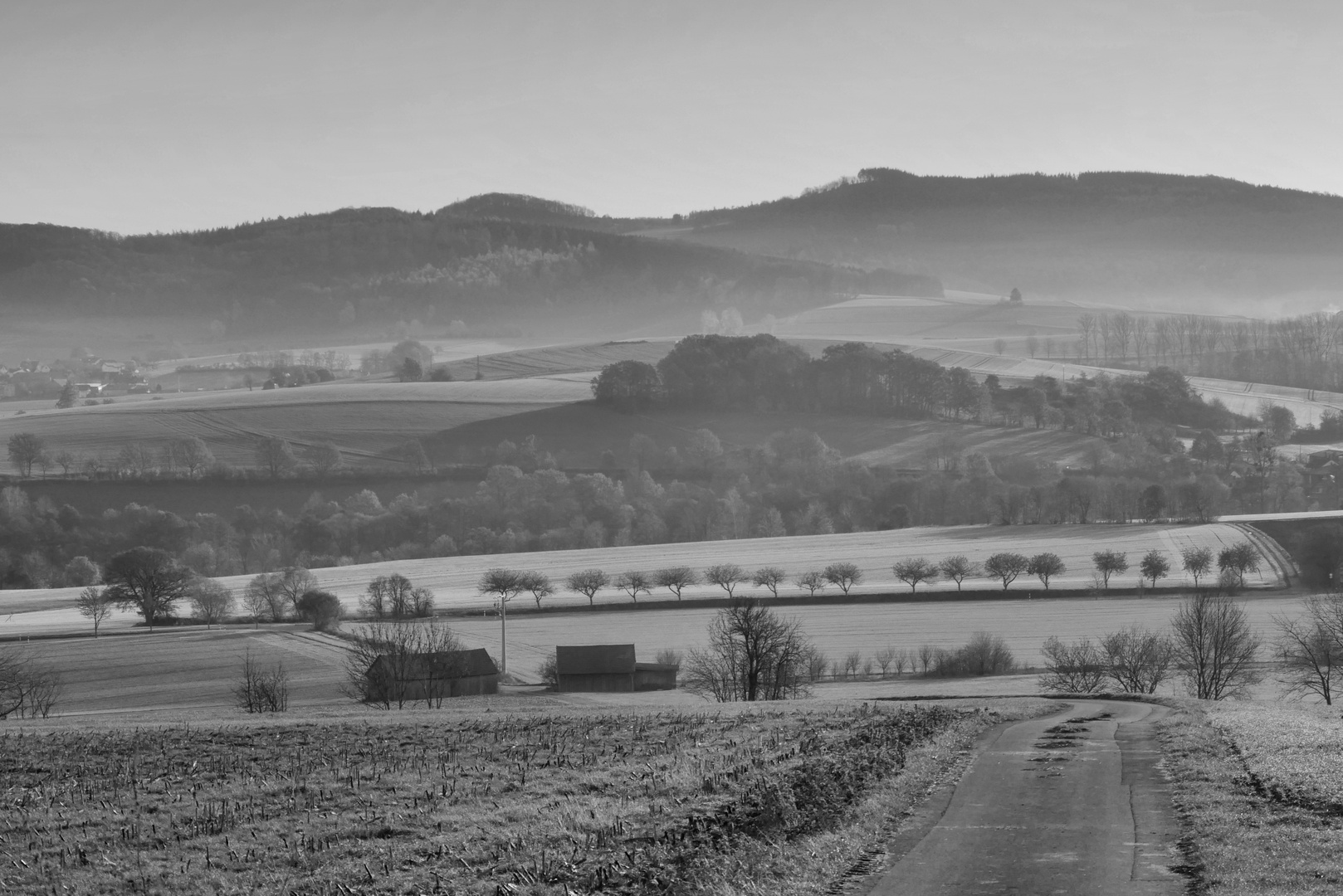 Nebel-Morgen...