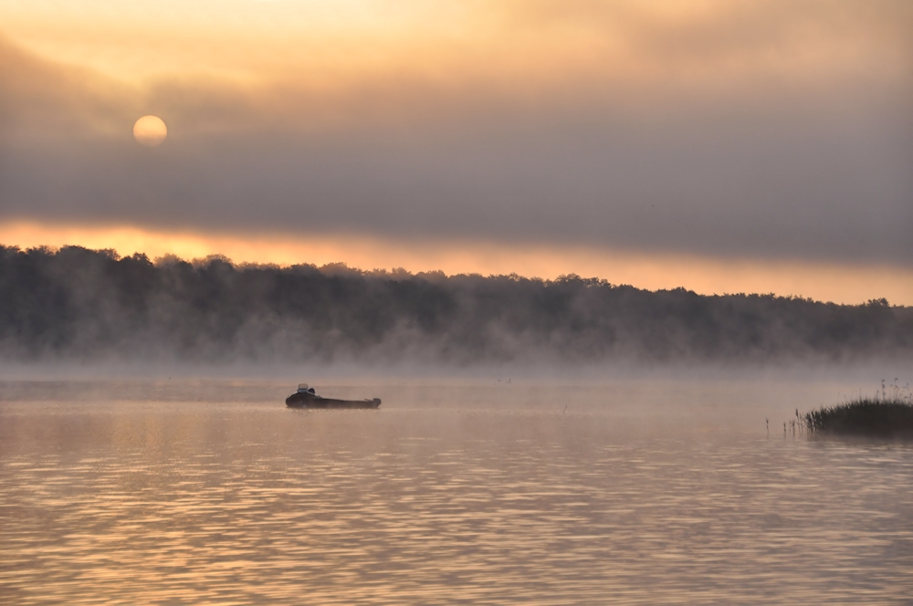 Nebel Morgen 