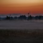 Nebel- Morgen im naturbelassenen Peenetal