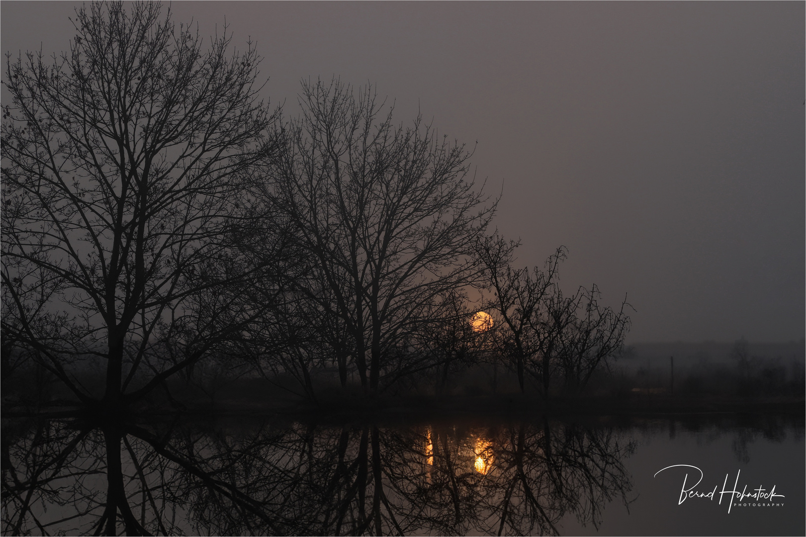 Nebel n den Niersauen ..... am Niederrhein