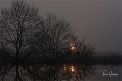 Nebel n den Niersauen ..... am Niederrhein