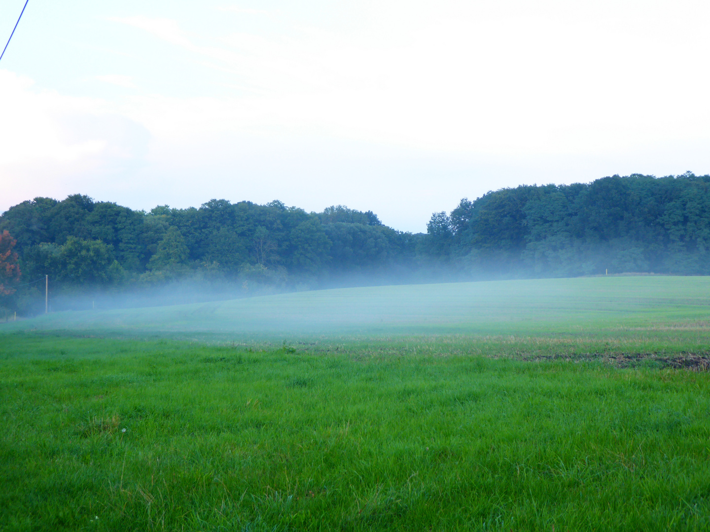 Nebel nach dem Gewitter