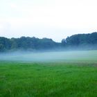 Nebel nach dem Gewitter