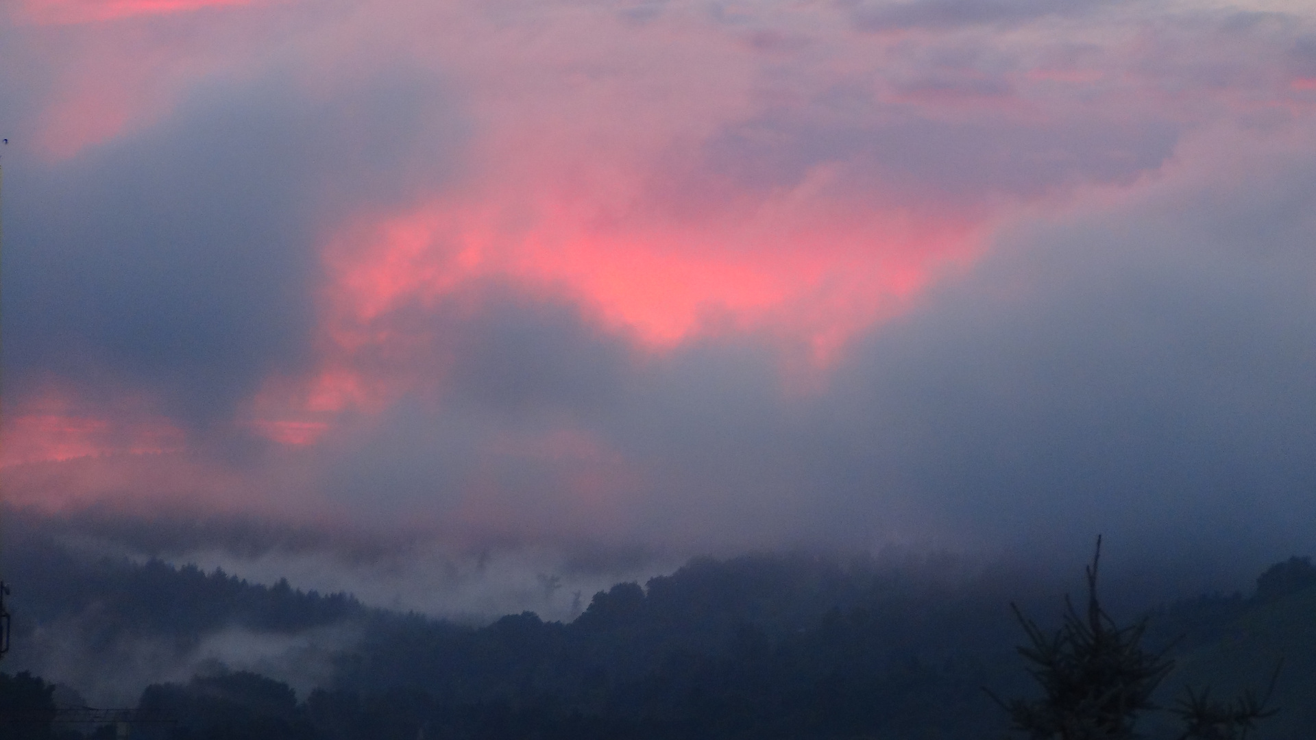 Nebel nach dem Regen