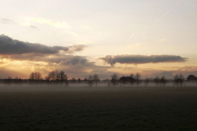 Nebel naehe Schlepzig