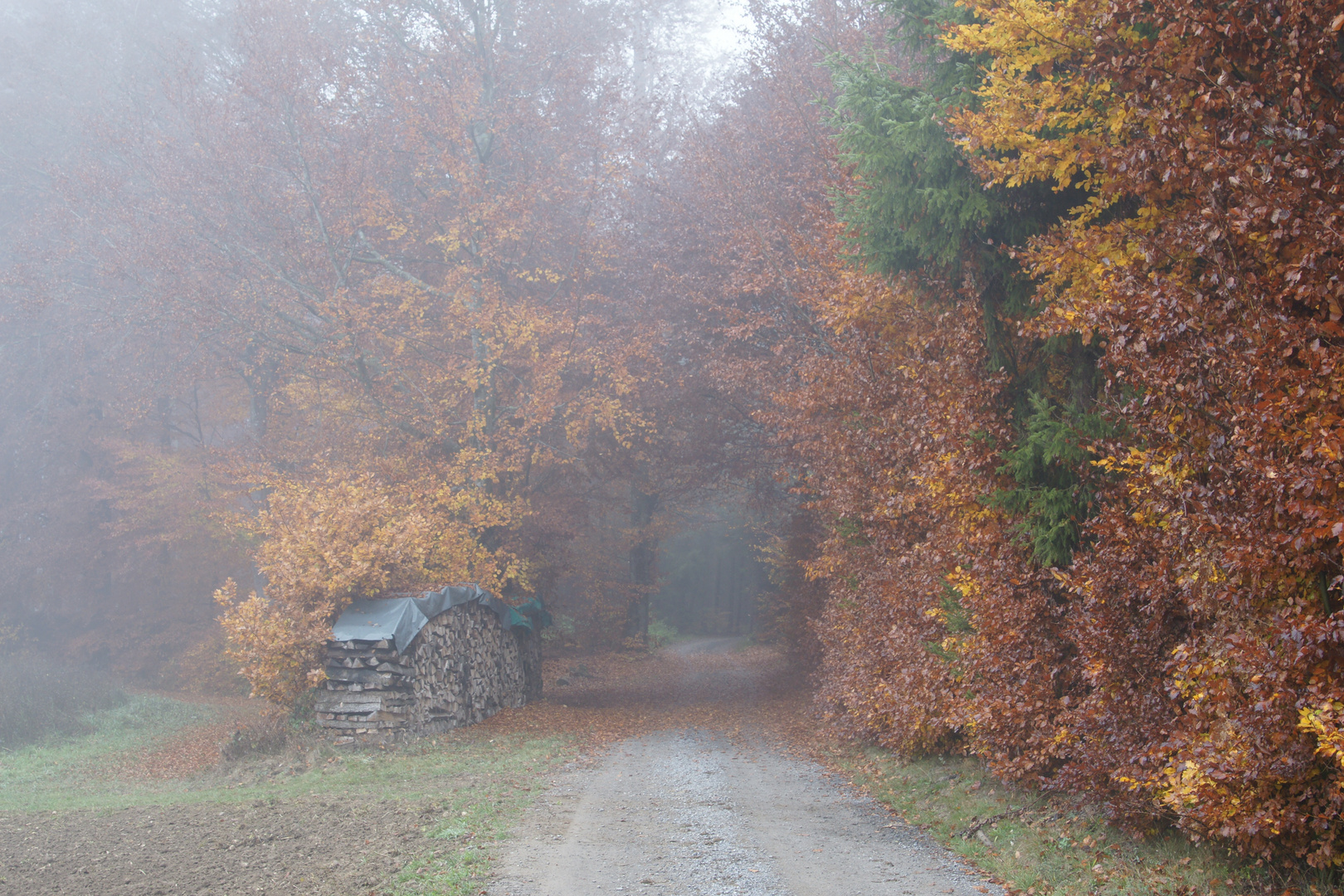 Nebel, Nebel, Nebel