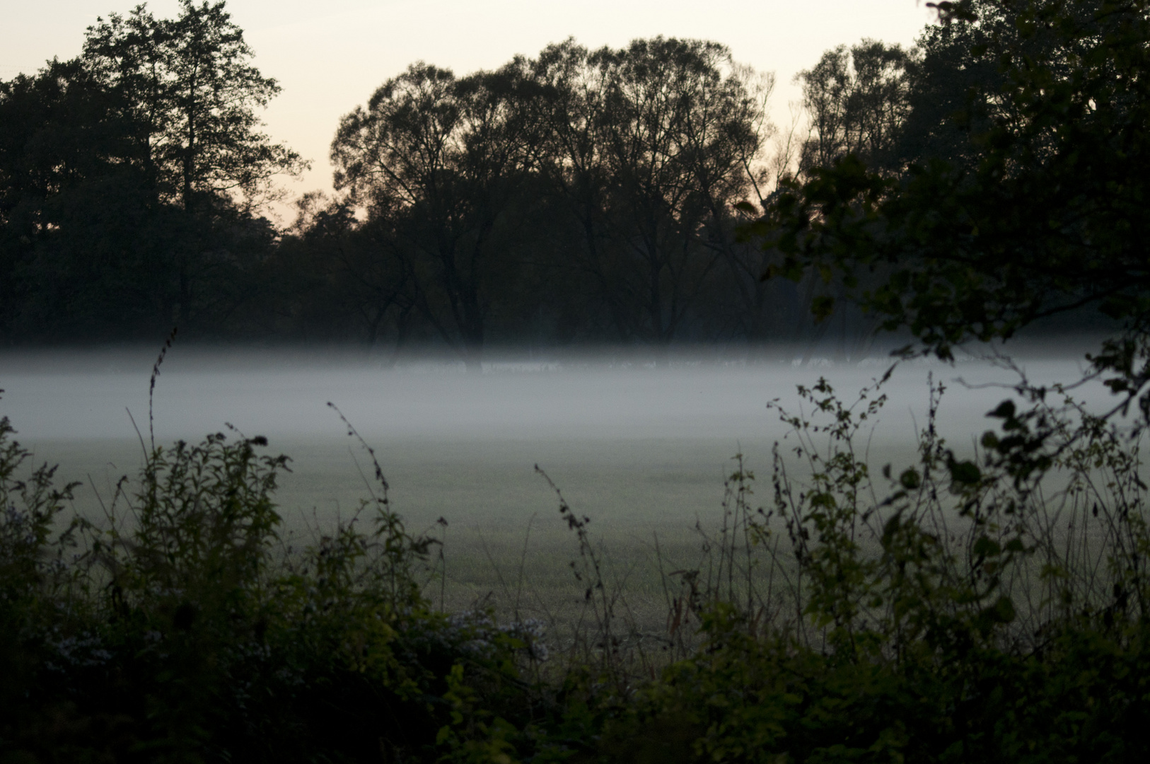 Nebel, Nebel und nochmals Nebel