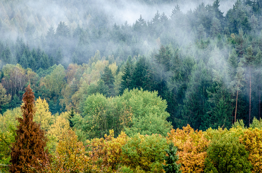 Nebel, Nebel, weißer Hauch